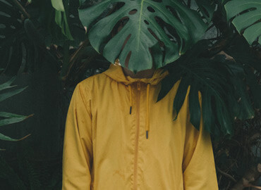 توضیحات عکس