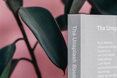 توضیحات عکس